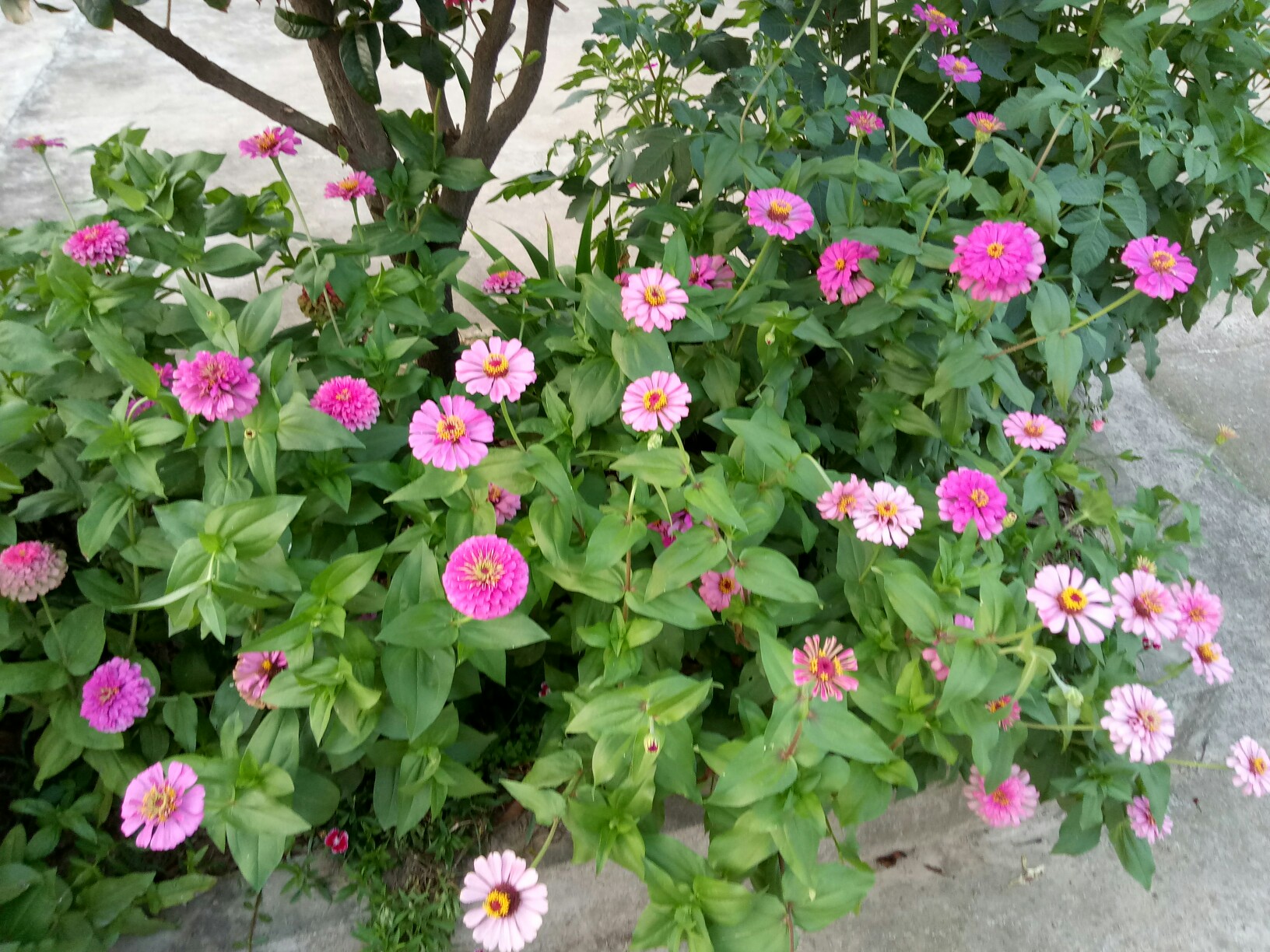 JIUYOU-关于2?厝%?Z.?rQl	3?哉豉耋^P囁€%鉸	uU颩亘6的信息